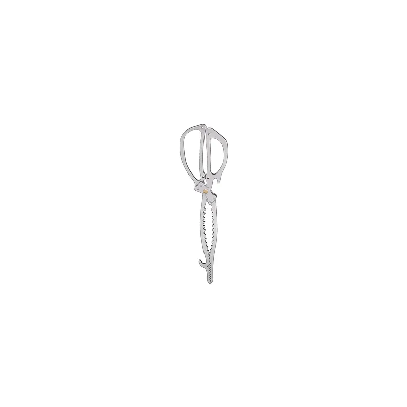 Small Fire Tongs